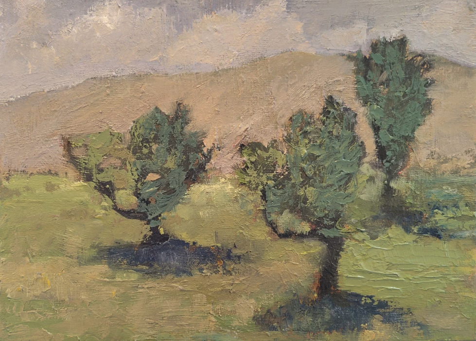 Citrus Grove, Afternoon Light