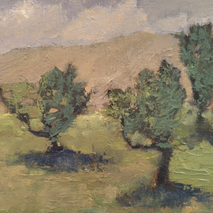 Citrus Grove, Afternoon Light